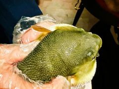-肆月河豚·淮扬菜·湘菜(华天店)
