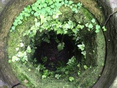 -恺庐茶园(宽窄巷子景区店)