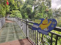 -广州市白云山风景名胜区