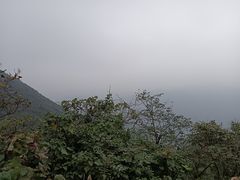 -北仑森林植物园