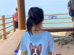 -广东惠东海龟国家级自然保护区