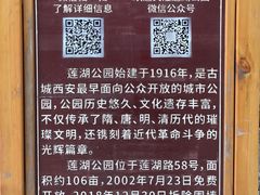 -莲湖公园