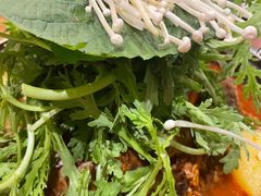 土豆排骨火锅-喇喇排骨火锅·传统韩式脊骨汤(望京西园总店)