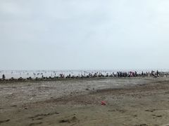 -南汇嘴观海公园