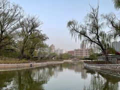 -迎泽公园