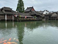-乌镇西栅景区
