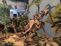 -自贡恐龙博物馆