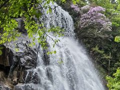 -大围山国家森林公园