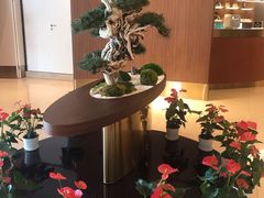 -松鹤楼(狮山永利广场店)