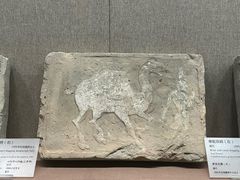 -敦煌市博物馆