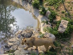 -石家庄市动物园