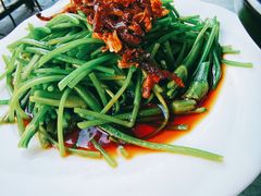 菌香水性杨花-尽善百年古院餐厅(王家老宅店)