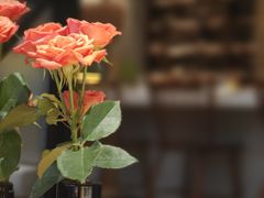 -Laures·月桂西班牙碳烤餐厅(十尚坊店)
