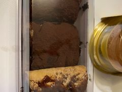 -味多美蛋糕(阜成门店)