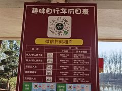 -合肥滨湖国家森林公园