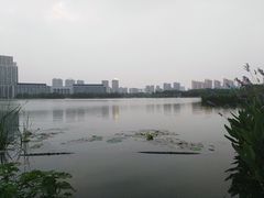 -尚贤河湿地