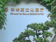 -中国茶叶博物馆(双峰馆区)