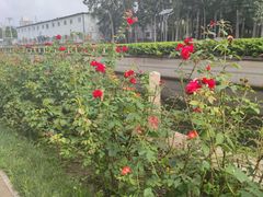 -元大都城垣遗址公园