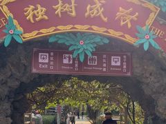 -瑞丽独树成林风景区