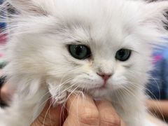 -爱派特动物医院·全科诊疗中心