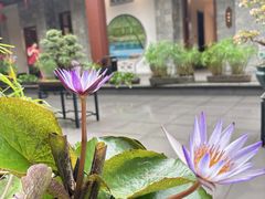 -聚福宝合苑食府(南头镇店)