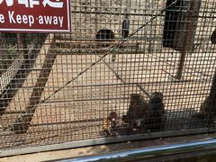 -南京金牛湖风景区