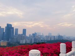 -荔枝公园-小平画像广场