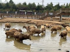 -日照海滨国家森林公园