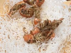 -和源祥·日照菜扛把子(万平口一店)