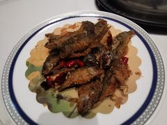 -天鹰观渔(梦园店)
