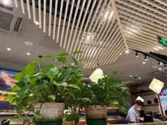 -云海肴·汽锅鸡·云南菜(广安门天虹店)