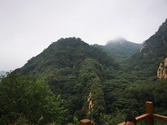 -大岭沟猕猴桃谷风景区