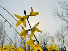 -大连植物园