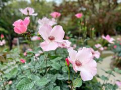 -人民公园(罗湖区)