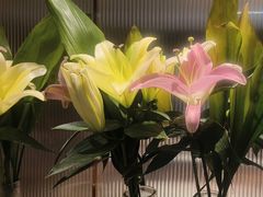 -鑫小城故事·藕汤·家常菜(台北一路总店)