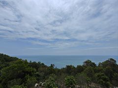 -广东惠东海龟国家级自然保护区
