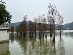 -顺峰山公园