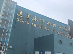 -蓬莱欧乐堡海洋极地世界