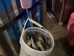 -DGE季风钓虾营地·团建·聚会