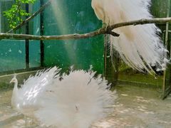 -沈阳鸟岛