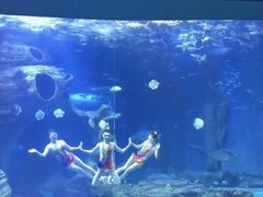 -多彩贵州城极地海洋世界