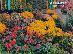 -杭州植物园