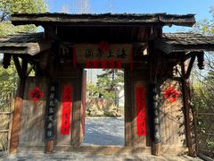 -东平国家森林公园