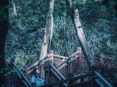-东湖磨山景区