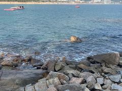 -碧海金沙
