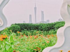 -海珠湖公园