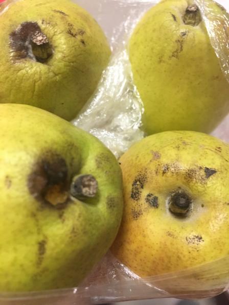 买的香梨5个,有3个烂的,一个快烂了.