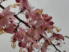 -白石龙音乐公园