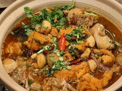 -杨氏青龙虾·羊蝎子(珠江路店)