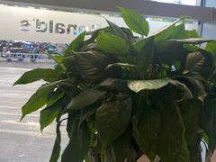 -麦当劳(北苑秋实路店)